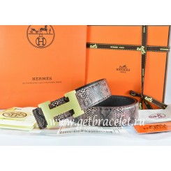 AAAAA Copy Hermes Reversible Belt Brown/Black Snake Stripe Leather With 18K Gold H Buckle QY00796