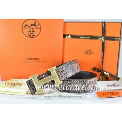 Hermes Reversible Belt Brown/Black Snake Stripe Leather With 18K Drawbench Gold H Buckle QY01112