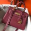 Hermes Mini Kelly 20cm Handbag In Bordeaux Clemence Leather QY01173